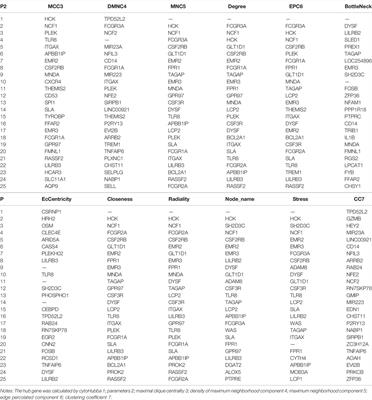 Looking for the Genes Related to Lung Cancer From Nasal Epithelial Cells by Network and Pathway Analysis